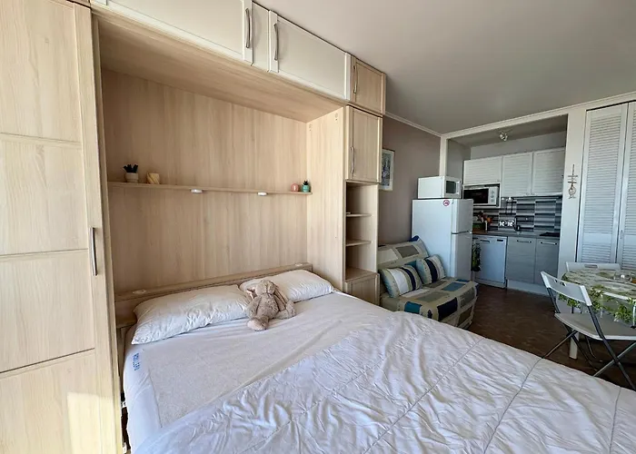 Confortable Face Avec Parking Prive - Fr-1-323-450 Lejlighed